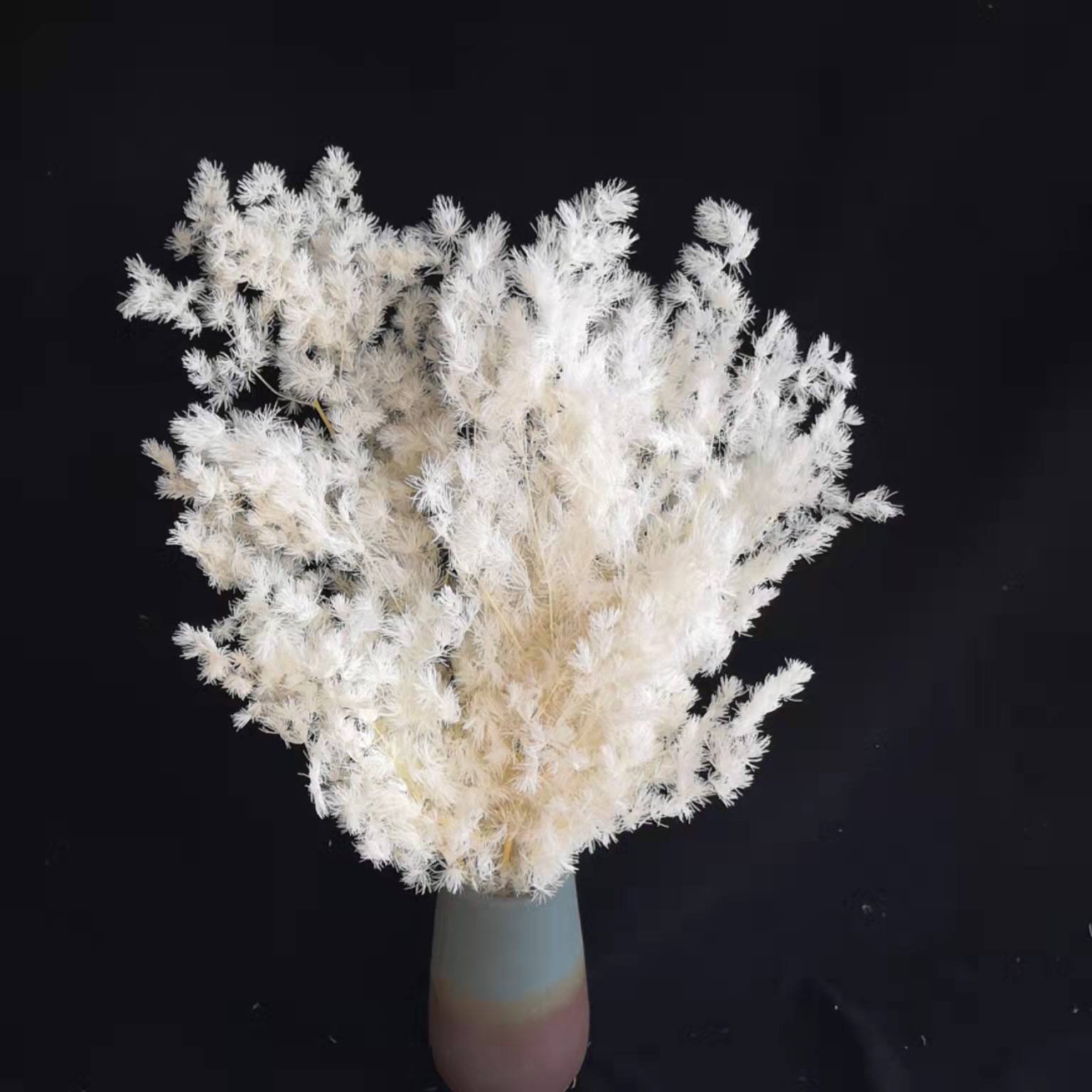 永生蓬莱松神诞树配花家居摆件diy香薰蜡烛相框浮游瓶材料