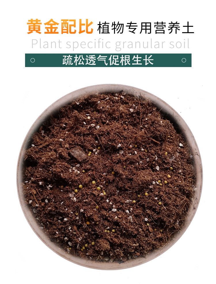 月季土50l家庭园艺营养土花土 家用种植土玫瑰绣球泥炭土种花泥土