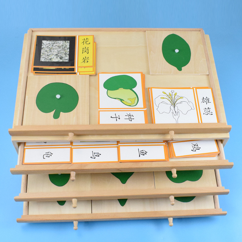 升级版树叶嵌板柜蒙氏教具 厂家直销儿童蒙台蒙特梭利幼儿园早教