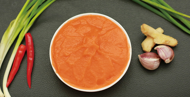 8kg瓶装梅子酱河池烧烤酱烧鹅烧鸭烧肉酱果酱