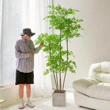 zbds植物南天竹落地盆栽仿生绿植摆件客厅沙发边家居装饰盆景假树