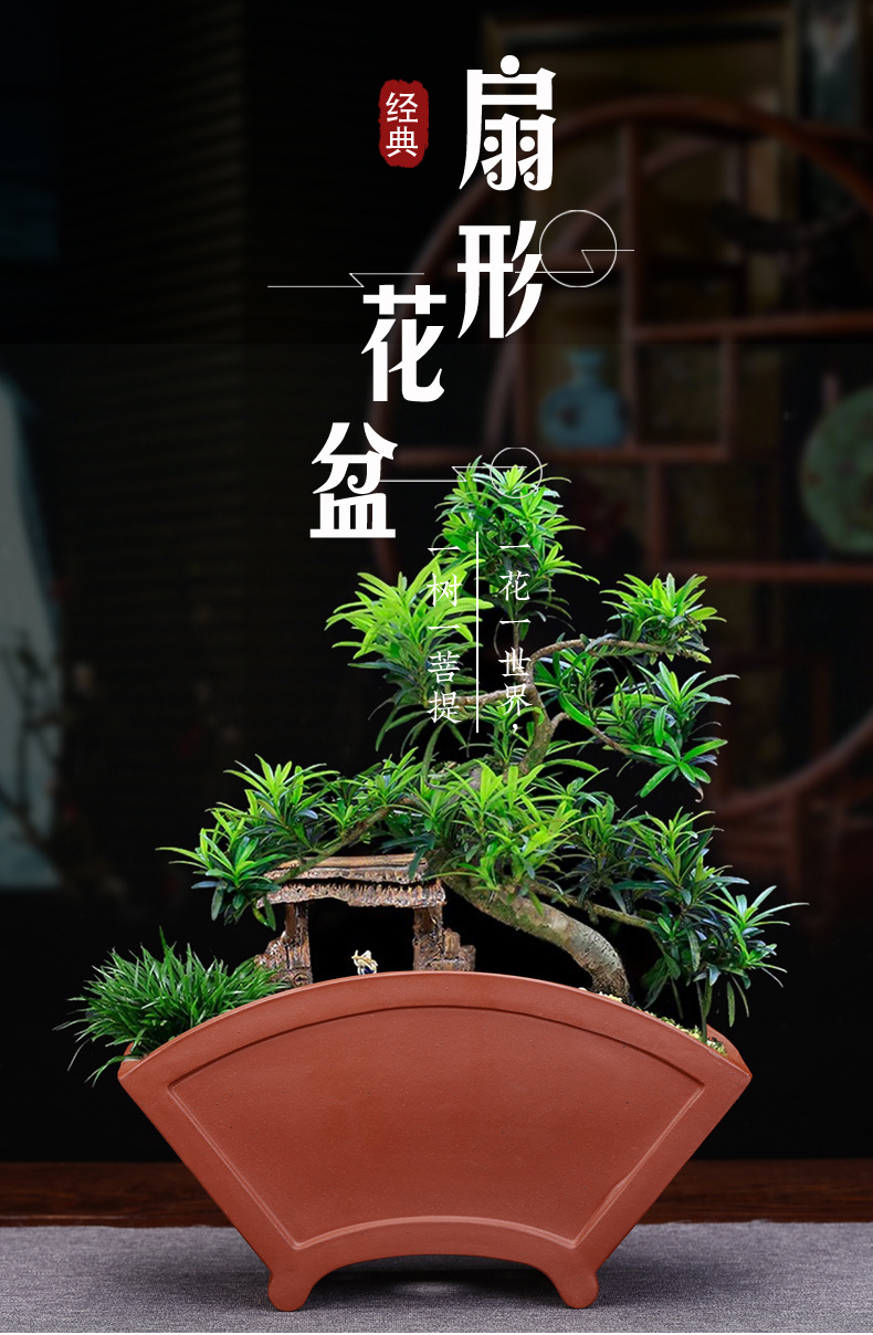创意陶瓷紫砂兰花盆室内扇形盆景盆多肉菖蒲盆栽桌面花卉厂家批发