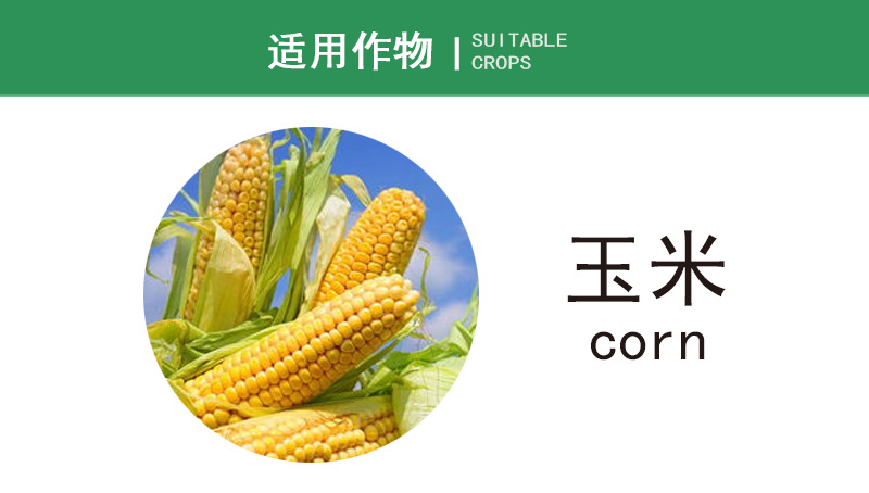 先正达 艾科顿 噻虫嗪咯菌腈精甲霜灵玉米种衣剂拌种剂农药10ml