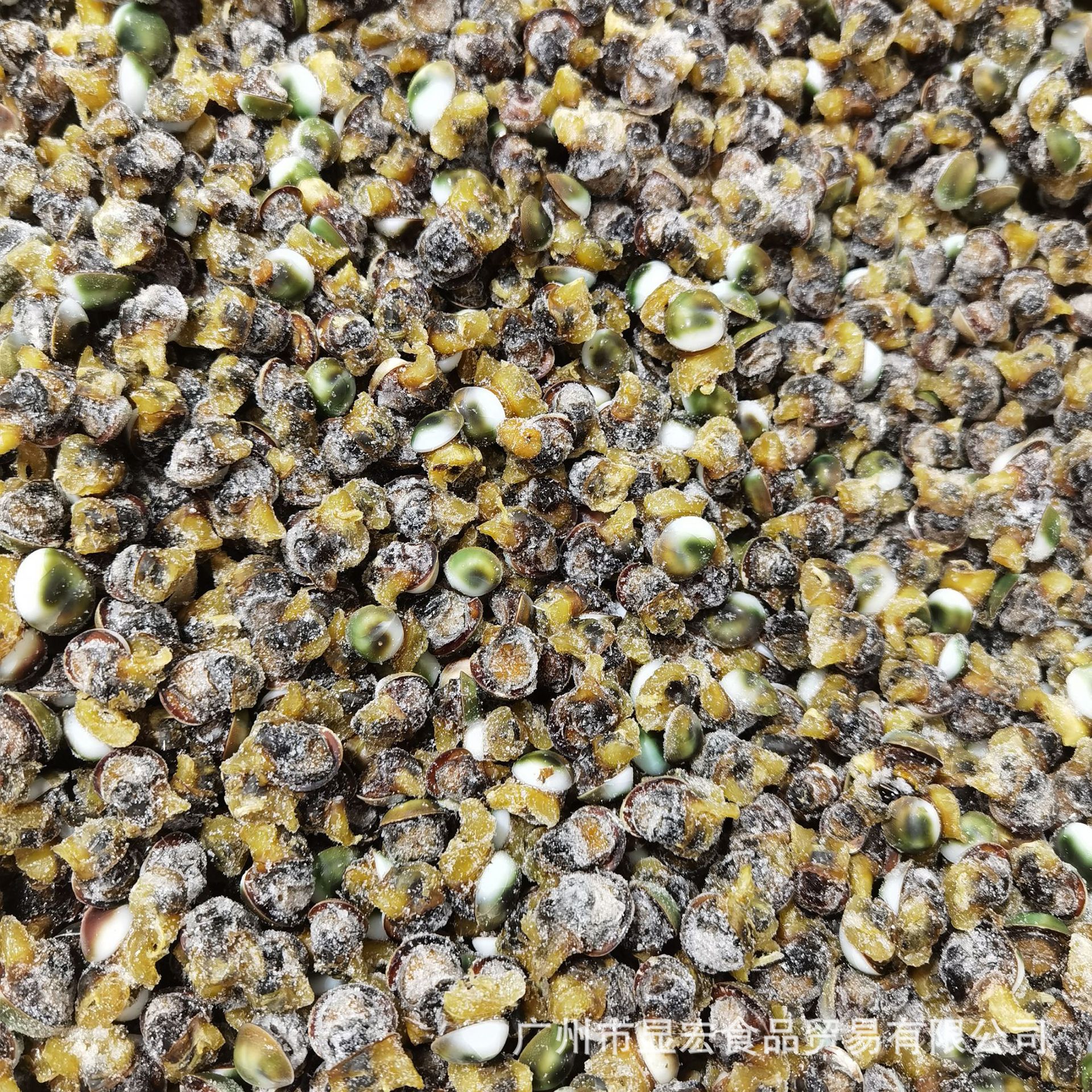 海鲜 冻品 眼睛螺 太阳螺凉拌小炒 酒店食材