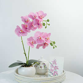 跨境专供仿真蝴蝶兰仿真花中式轻奢家居装饰现货速发可印字logo