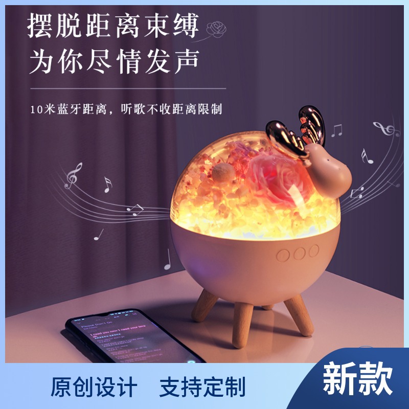 Creative Qixi Gift Preserved Fresh Flower USB Rechargeable Bluetooth Audio Lovely Bedroom Sleeping Ambience Light DIY Night Light