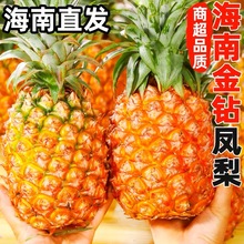 海南金钻凤梨新鲜水果当季应季正宗特级菠萝手撕10斤大果整箱特产