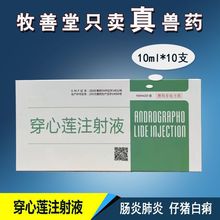 【兽药兽用穿心莲注射液】 猪药 牛羊药犬猫肠炎白痢退烧针剂批发