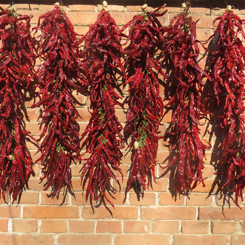 天然干辣椒串 真辣椒串红辣子串挂件农家乐饭店农家院装饰品挂串
