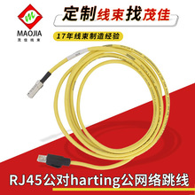 定制cat5 6类屏蔽延长线RJ45公对harting公头10P5对网络跳线