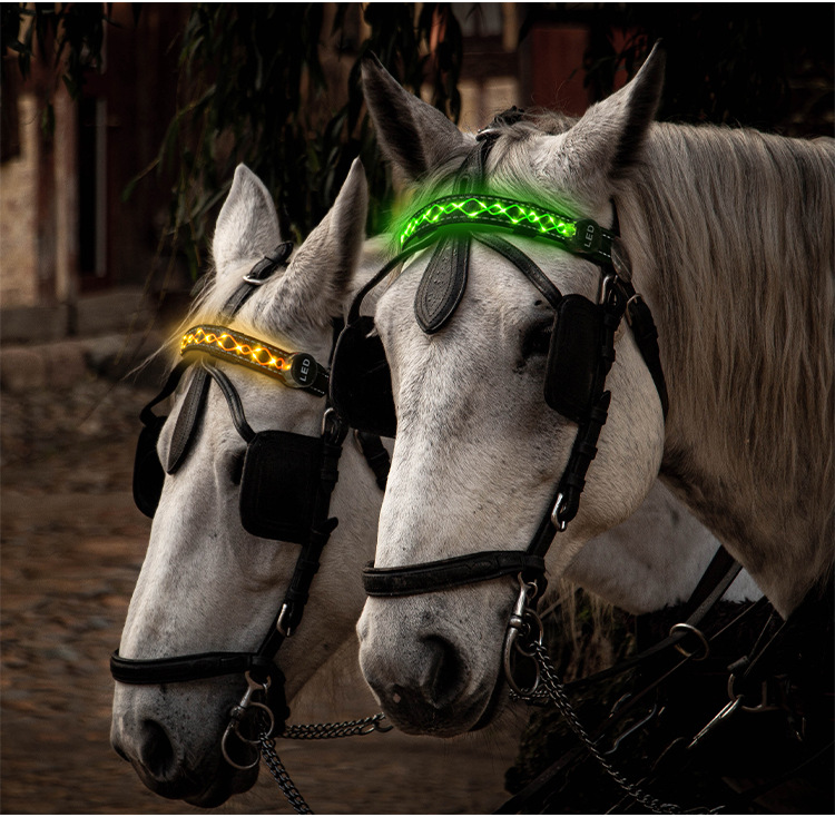 户外马术运动用品马笼头装饰带菱形绳绣led发光马头绑带