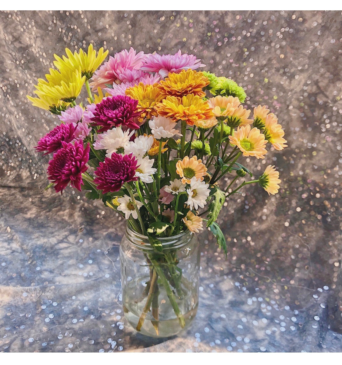 小雏菊鲜花新鲜三文鱼小雏菊洋甘菊太阳花小清新家庭插花姜花切花