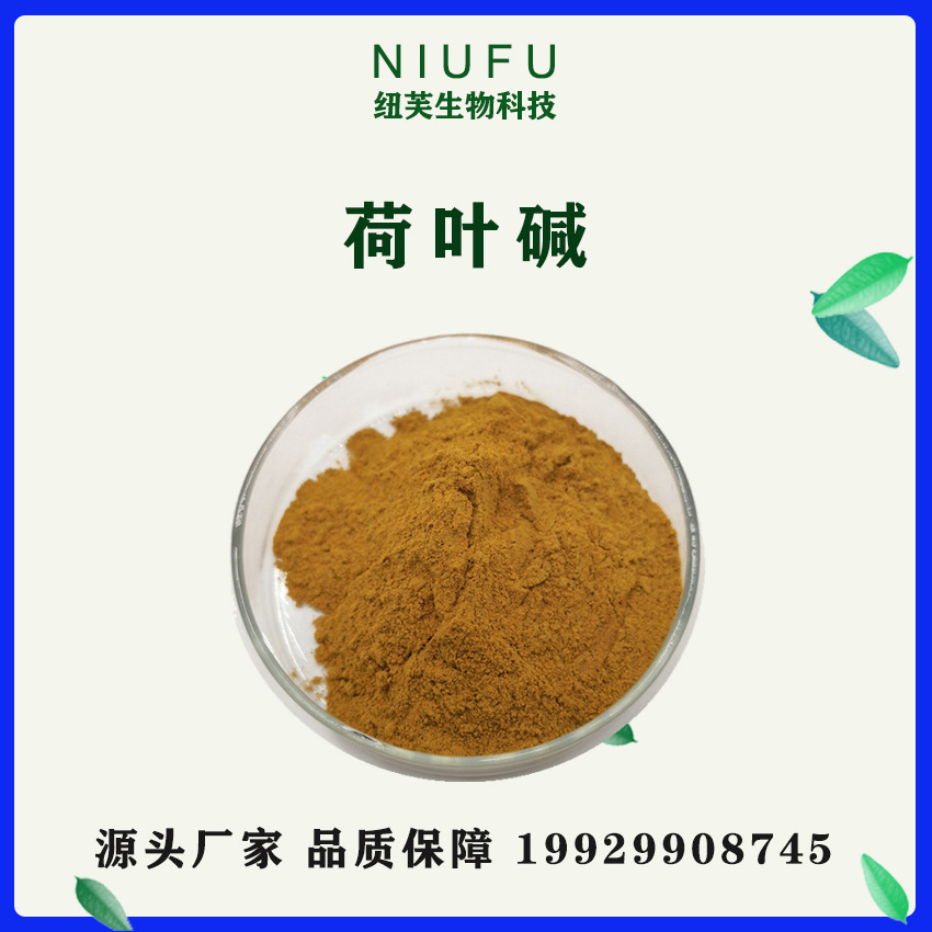 荷叶碱2% 荷叶提取 荷叶粉 另有规格荷叶碱4% 工厂现货 量大价优