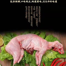 兔肉农家新鲜现杀兔腿兔头整只兔子肉鲜冷冻烧烤