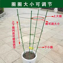 爬藤花架月季蟹爪兰绿箩三层多层可伸缩阳台绿植室内攀爬花卉支架