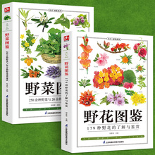 【铜版纸】全2册野菜图鉴+野花图鉴常见花卉园林植物识别图鉴野外