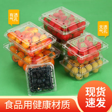 加厚一次性透明塑料水果盒草莓葡萄食品果蔬包装保鲜盒打包盒带盖