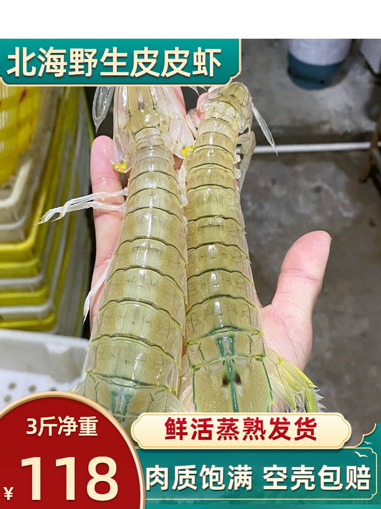 北海皮皮虾鲜活包邮海鲜水产海虾琵琶虾虾爬子新鲜濑尿虾蒸熟发货