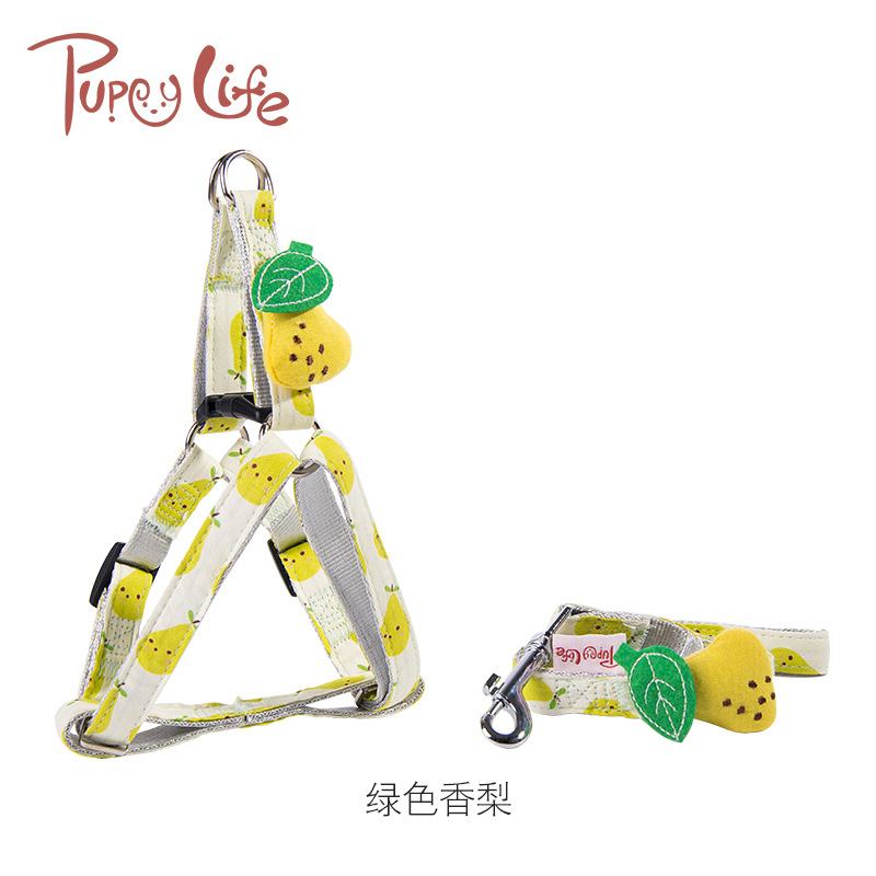 Small and Medium-Sized Outing Dog Traction Safety Rope Fruit Series Dog Dog Leash Dog Rope Cat Pulling Rope