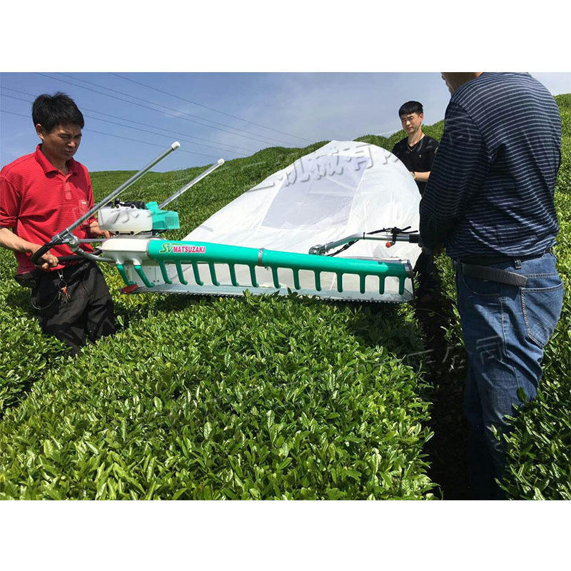 双人弧形平行采茶机 汽油二冲程茶园采摘机 农用新鲜茶叶收获机