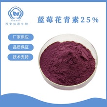 蓝莓花青素25% 蓝莓提取物花色苷 花青素100g/袋 水溶 量大从优