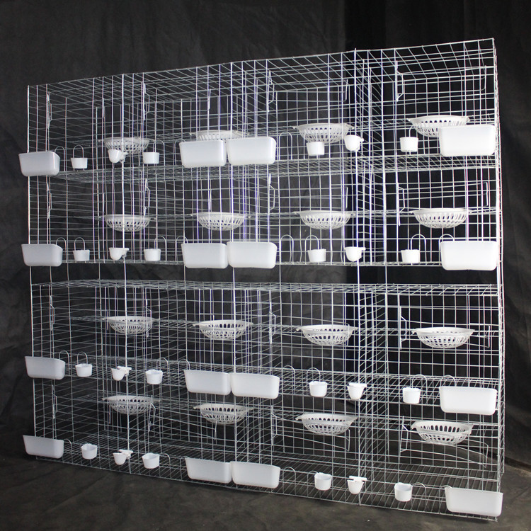 鸽子笼用品用具信鸽肉鸽笼配对笼肉鸽养殖笼12笼位送水箱