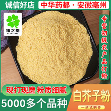 包邮白芥子批发源头工厂价优白芥子免费磨粉批发农产品白芥子粉