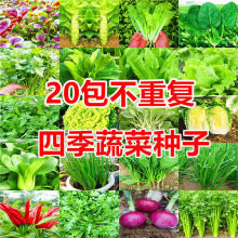 20款不重复四季蔬菜种子菜园阳台盆栽青菜生菜香菜辣椒菠菜蔬菜籽