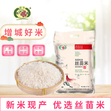 优选丝苗米5KG长粒香大米猫牙米10斤南方籼米煲仔饭新米