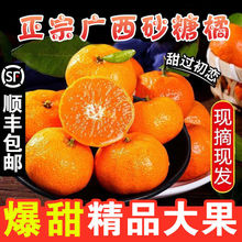 橘子新鲜10斤顺丰广西沙糖桔爆甜砂糖桔水果桔子3/5/10批发礼盒装