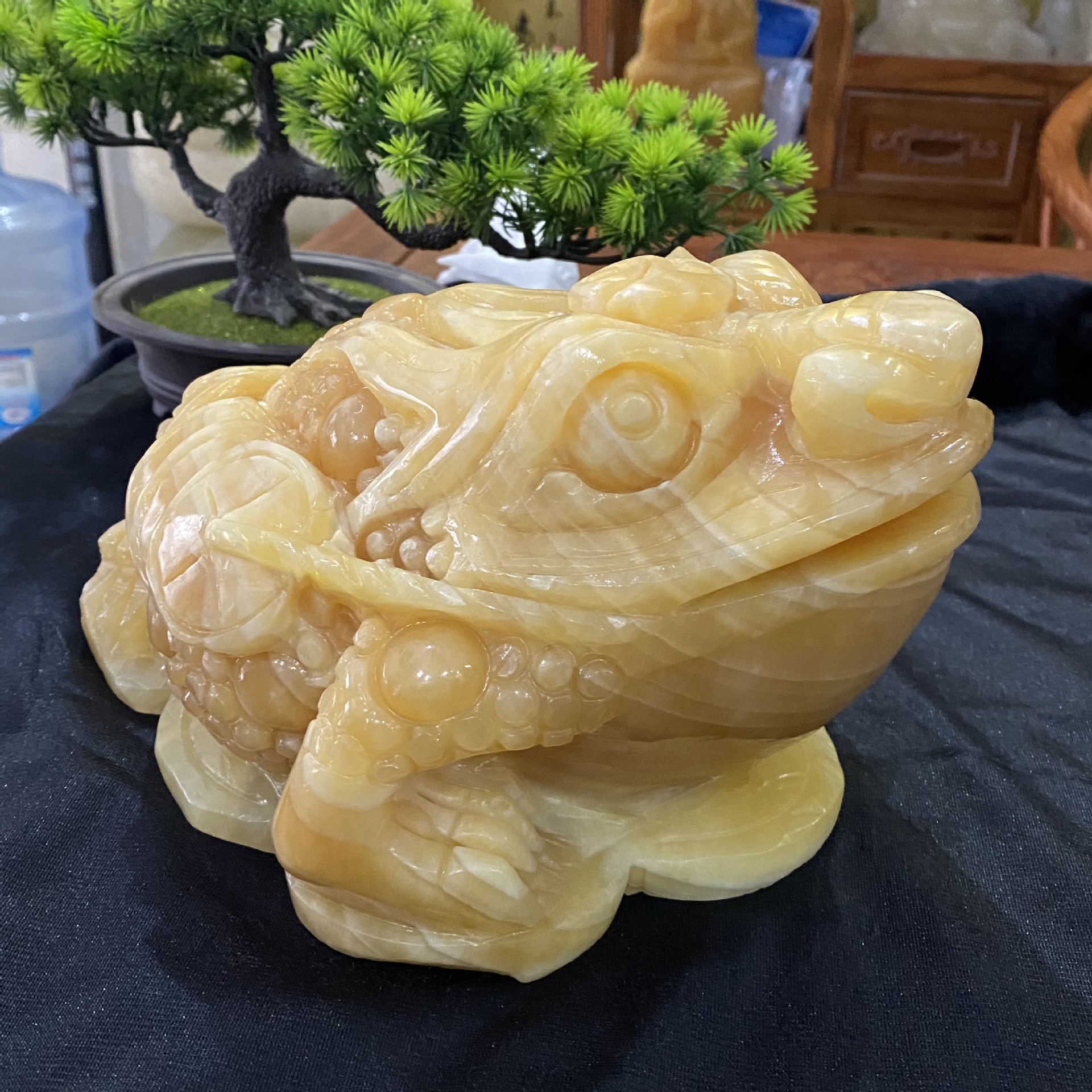 米黄玉金蟾摆件 黄玉蝉摆设品玉石三脚蟾金蟾蜍开业商务店铺摆件