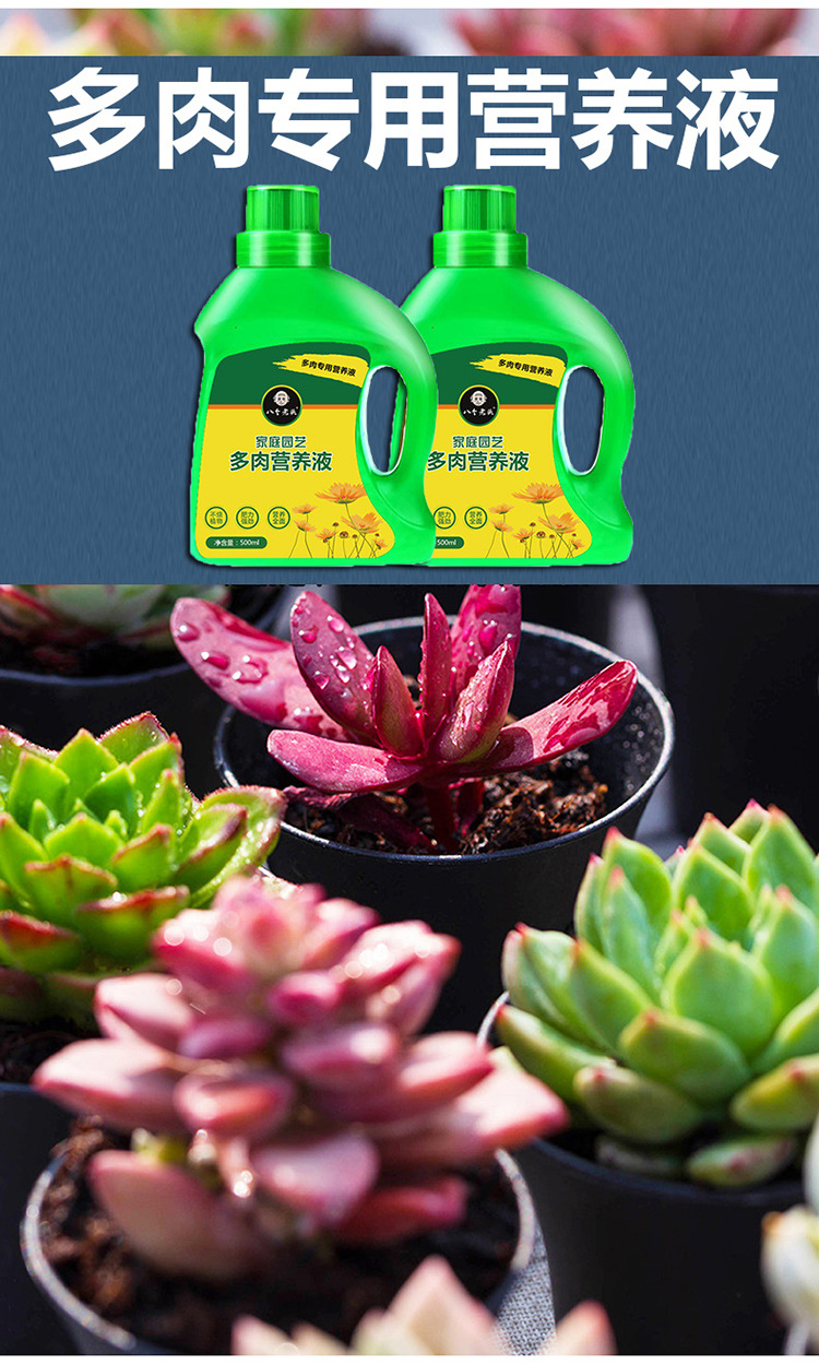 厂家批发家庭园艺盆栽绿植营养液 500ml瓶装多肉专用有机营养液