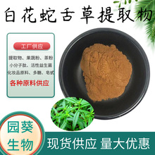 白花蛇舌草提取物10:1  白花蛇草粉浓缩粉 厂家直销 现货1kg起订