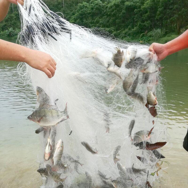 渔网粘网丝网捕鱼网三层沉网单层浮网挂子网白条鲫鱼鲢鱼沾鱼网