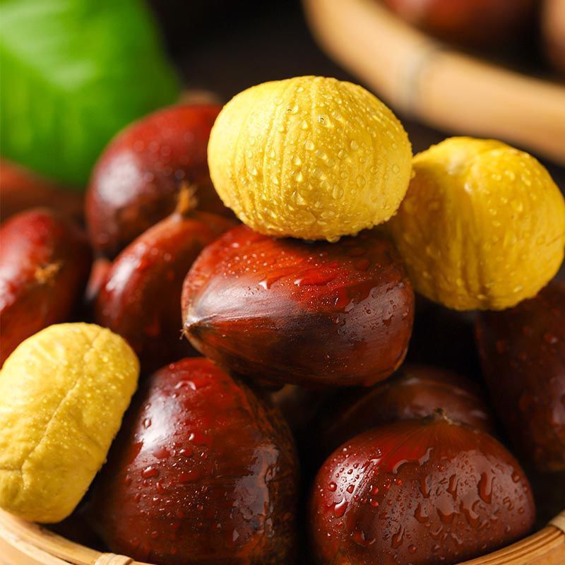 【精选】2021年板栗生新鲜栗子带壳毛栗子板粟批发油栗包邮