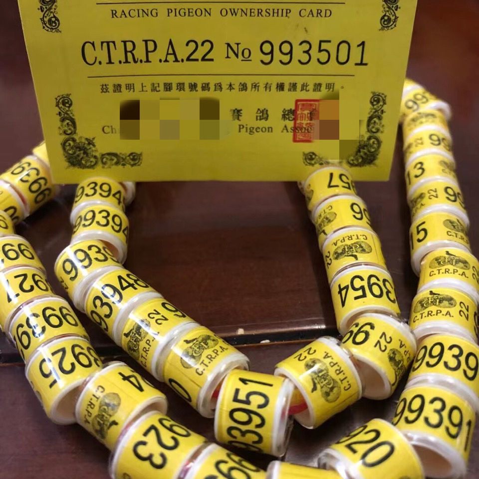【台环带证】2022年台湾环 台鸽足环 赛鸽脚环 鸽子用品用具