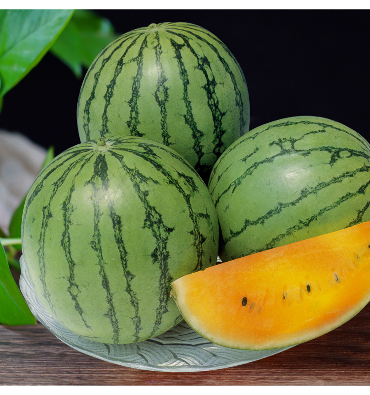 彩虹冰淇淋西瓜种子小型礼品水果种籽圆形小西瓜皮薄脆甜厂家批发