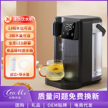 速热饮水机家用台式即热水机小型桌面泡茶机跨境饮水机110V批发