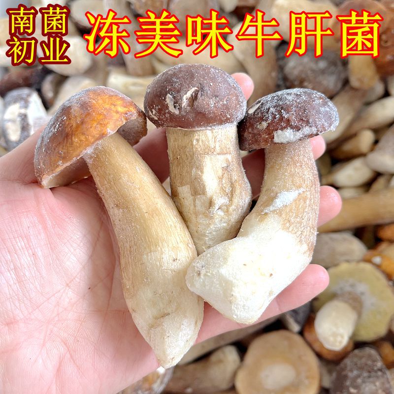 冰鲜冻野生美味牛肝菌精品无虫！云南山珍土特产菌菇火锅香菇一斤