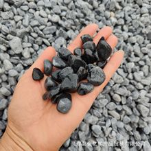 黑色砾石水洗石日式庭院枯山水碎石子深灰色洗米石瓜子石黑色石子