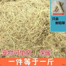 稻草干草垫料兔子过冬草狗窝鸡宠物垫窝天然干稻草秸秆禾杆草保暖