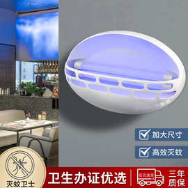 厂家直销粘捕式灭蝇灯餐厅饭店苍蝇捕捉器挂墙式家用商用led