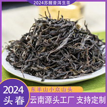 云南普洱茶源头普洱生茶2024年头春苏醒古树生普茶叶茶批发