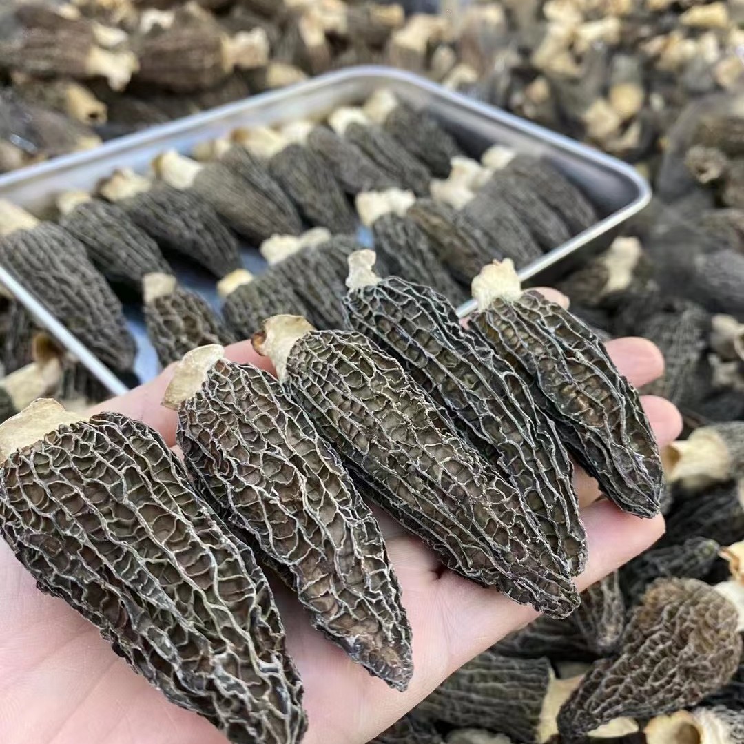 产地货源云南羊肚菌干货 6-9羊肚菌 250g一袋 大中小全规格批发