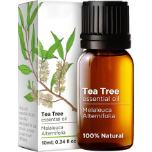 茶树精油Tea Tree Oil维生素植物精油护发 跨境工厂直发 支持OE M