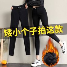 矮个子加绒裤子秋冬小个子加厚保暖打底裤女外穿九分小脚魔术女裤