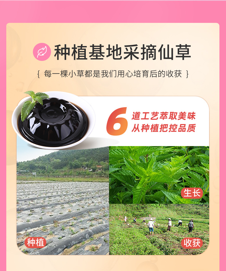 仙草凉凉台湾烧仙草奶茶杯装120g蜂蜜摩卡燕麦冬瓜口味一件代发