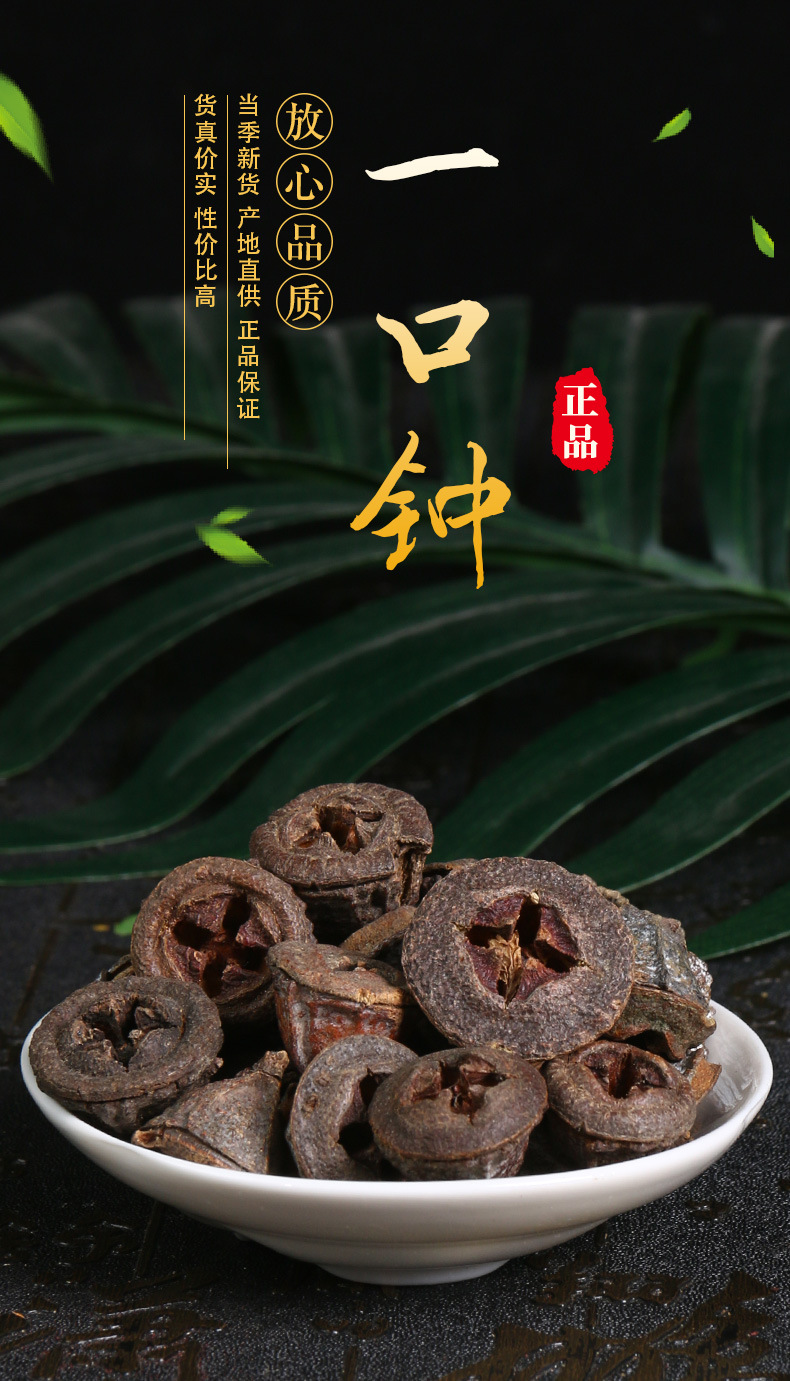 可检测一口钟别名桉树果一口盅金钟菩提蓝桉红喇叭花扣子七胜利果