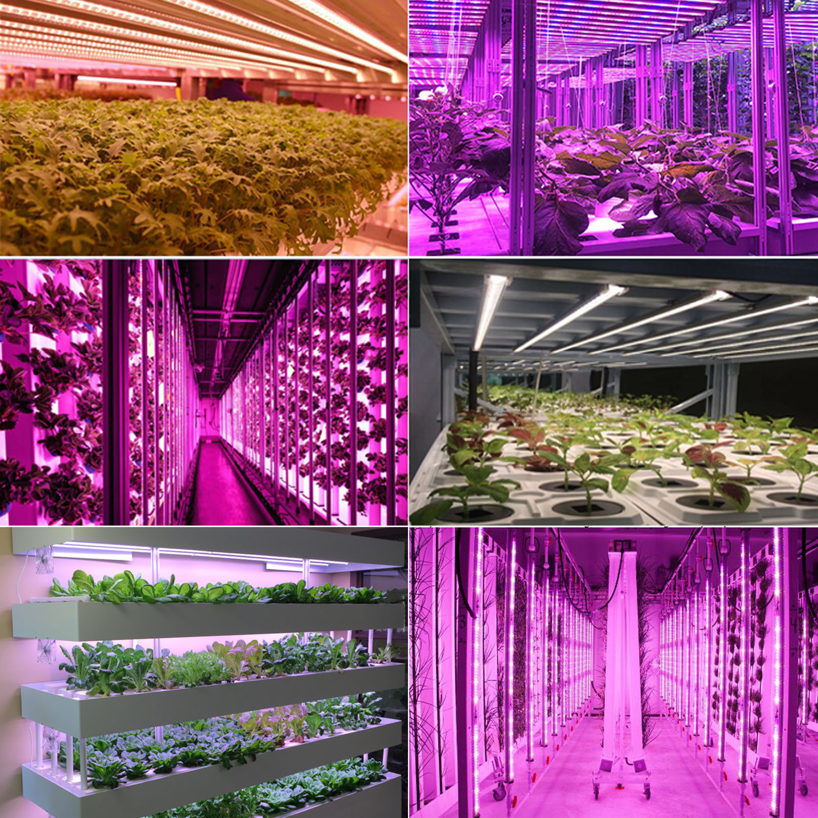 全光谱植物生长灯600w室内大棚折叠八爪鱼植物蔬菜水果调光补光灯