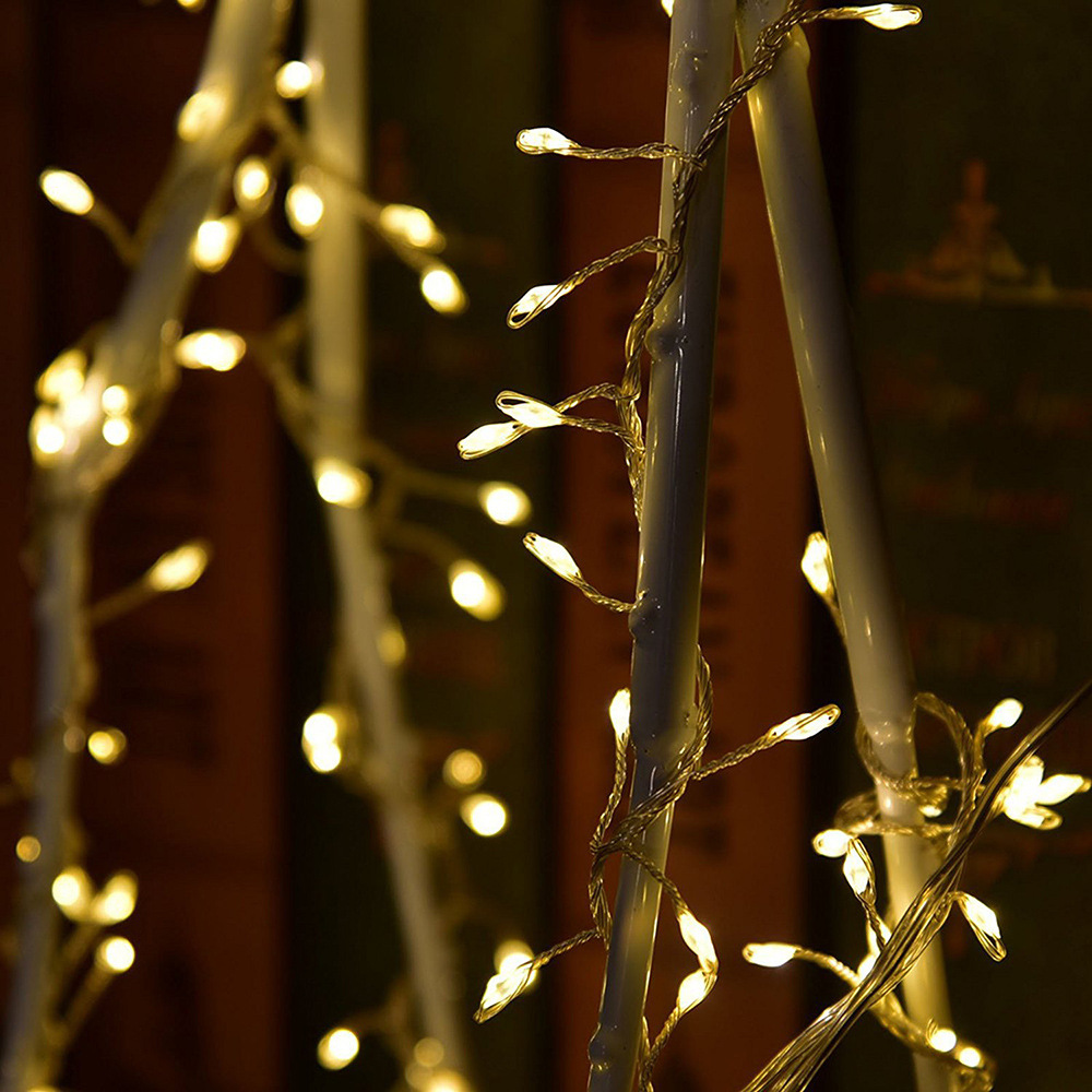 鞭炮灯 蜈蚣灯 银线灯 装饰灯 仙女灯 led彩灯 灯串 配置电源